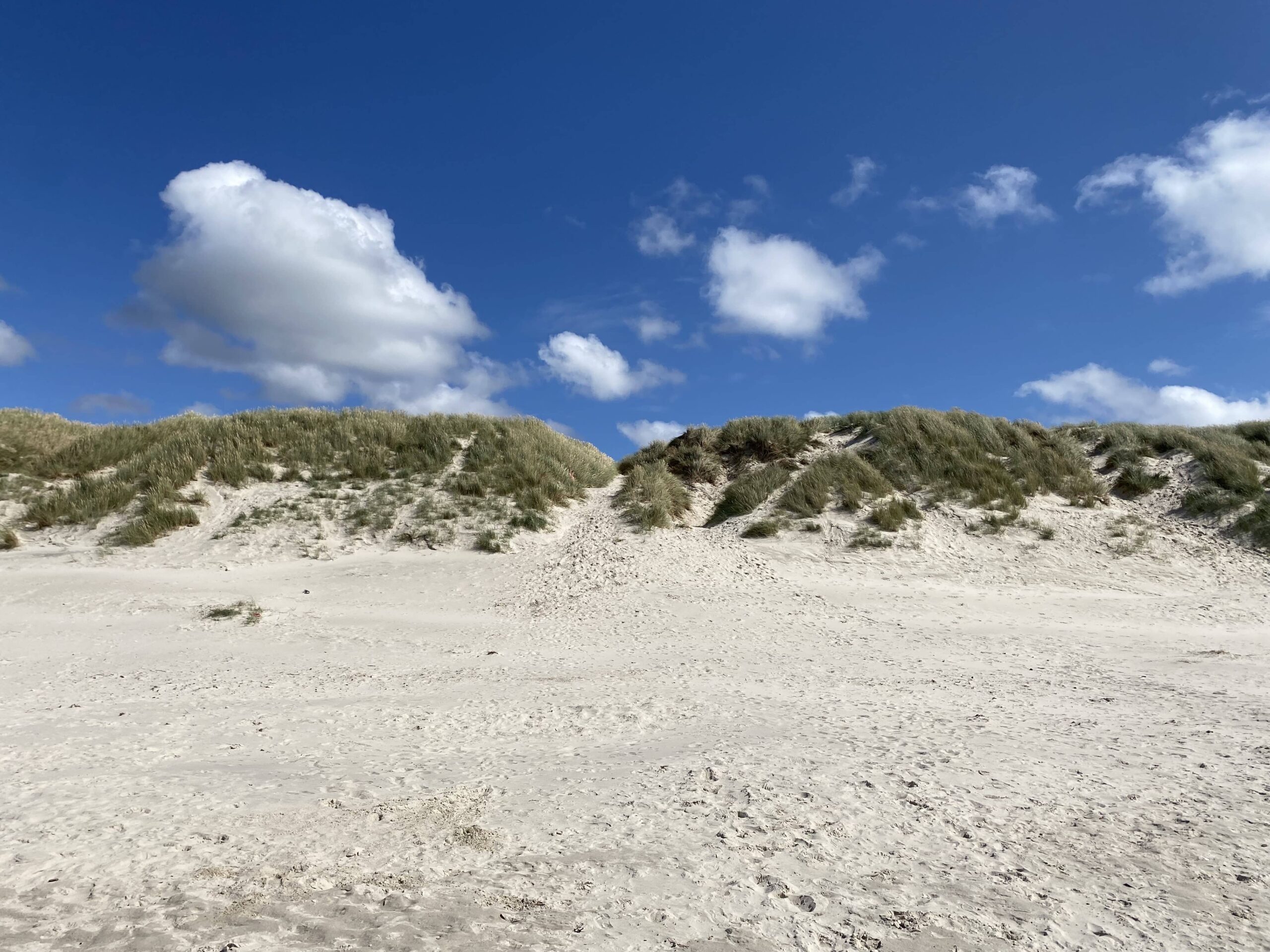 Vejers Strand Dünen